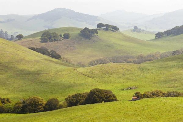 USA, California, Olema Landscape of farm fields